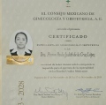 Ampliar imagen: certificate 5