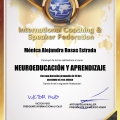 Ampliar imagen: certificate 5