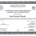 Ampliar imagen: certificate 3