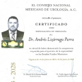 Ampliar imagen: certificate 2
