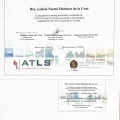 Ampliar imagen: certificate 2
