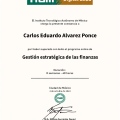 Ampliar imagen: certificate 7