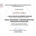 Ampliar imagen: certificate 4