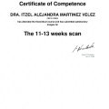 Ampliar imagen: certificate 4