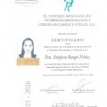 Ampliar imagen: certificate 3