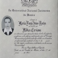 Ampliar imagen: certificate 1