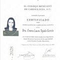 Ampliar imagen: certificate 2