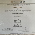 Ampliar imagen: certificate 3