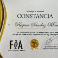 Ampliar imagen: certificate 6