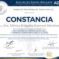 Ampliar imagen: certificate 4