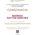 Ampliar imagen: certificate 13