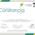 Ampliar imagen: certificate 6