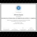 Ampliar imagen: certificate 9