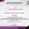 Ampliar imagen: certificate 11