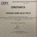 Ampliar imagen: certificate 10