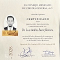 Ampliar imagen: certificate 3