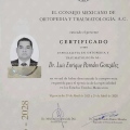 Ampliar imagen: certificate 1