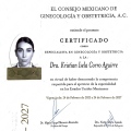 Ampliar imagen: certificate 2