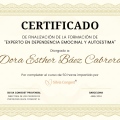 Ampliar imagen: certificate 1