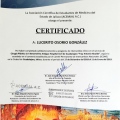 Ampliar imagen: certificate 17