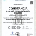Ampliar imagen: certificate 3