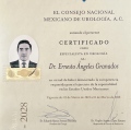 Ampliar imagen: certificate 1