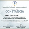 Ampliar imagen: certificate 40