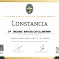 Ampliar imagen: certificate 19