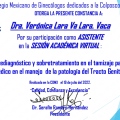 Ampliar imagen: certificate 10