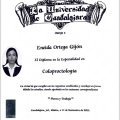 Ampliar imagen: certificate 4