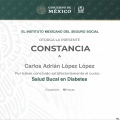 Ampliar imagen: certificate 6