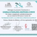 Ampliar imagen: certificate 2