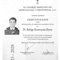 Ampliar imagen: certificate 3