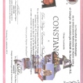 Ampliar imagen: certificate 3