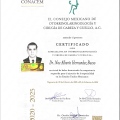 Ampliar imagen: certificate 2