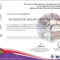 Ampliar imagen: certificate 6