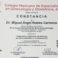 Ampliar imagen: certificate 8