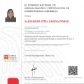 Ampliar imagen: certificate 2