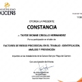 Ampliar imagen: certificate 30