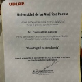 Ampliar imagen: certificate 5