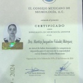 Ampliar imagen: certificate 5