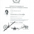 Ampliar imagen: certificate 23