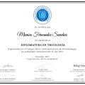 Ampliar imagen: certificate 5
