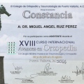 Ampliar imagen: certificate 10
