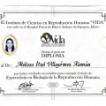 Ampliar imagen: certificate 7