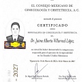 Ampliar imagen: certificate 1