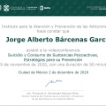 Ampliar imagen: certificate 4