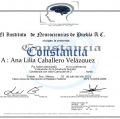 Ampliar imagen: certificate 3