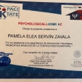 Ampliar imagen: certificate 8