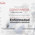 Ampliar imagen: certificate 2